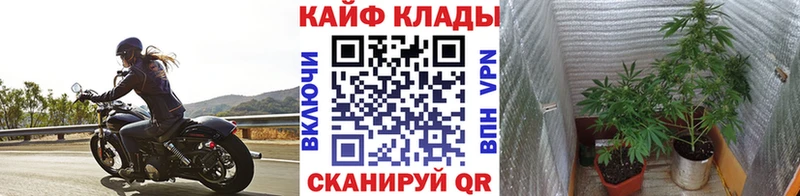 Как найти закладки Томари Alpha PVP  Cocaine  Меф мяу мяу  АМФ  ГАШ  МАРИХУАНА 